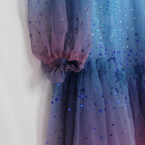 NWT Cynthia Rowley Rhinestone Tallulah Ombré Organza Maxi Dress Size Small - Picture 6 of 16